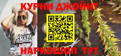 стафф Партизанск