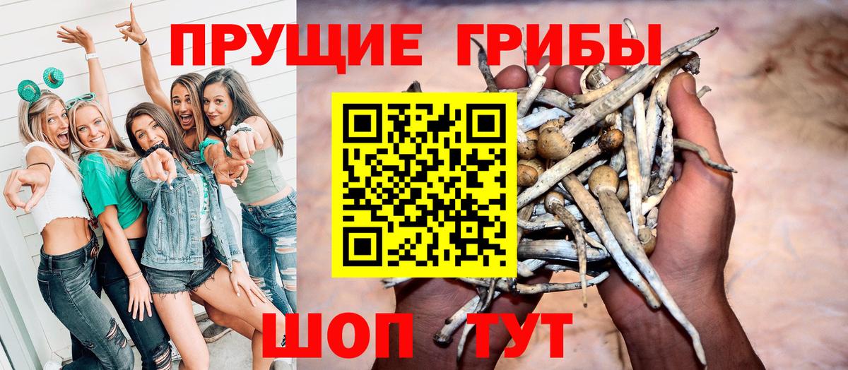 Галлюциногенные грибы Cubensis  Вход с VPN  Рубцовск 