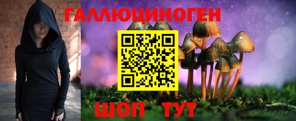 Галлюциногенные грибы прущие грибы Рубцовск